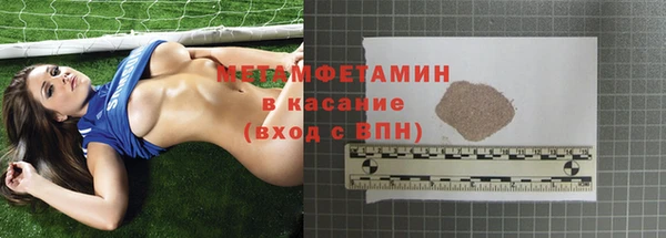 прущие грибы Верхний Тагил