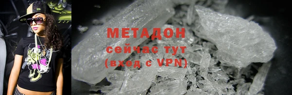 прущие грибы Верхний Тагил