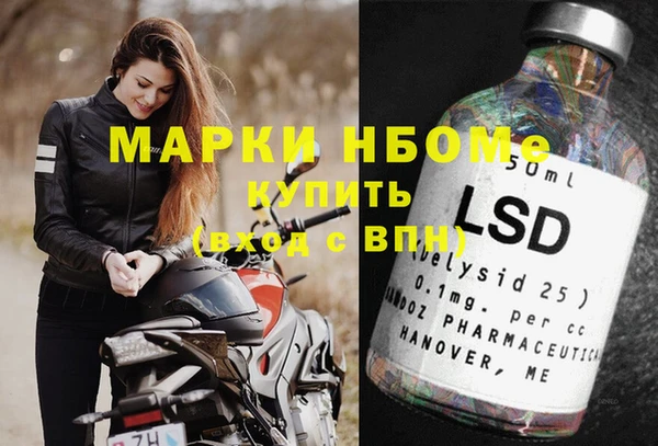 прущие грибы Верхний Тагил