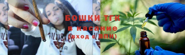 прущие грибы Верхний Тагил