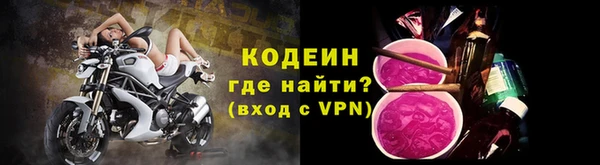 прущие грибы Верхний Тагил