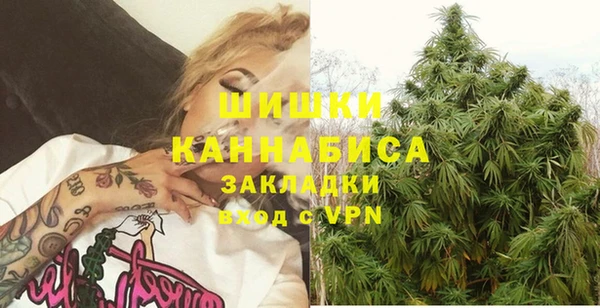 прущие грибы Верхний Тагил