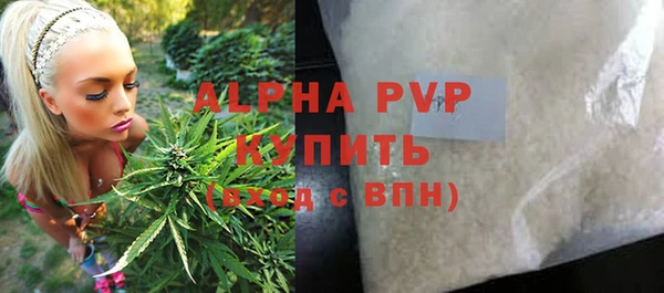 прущие грибы Верхний Тагил