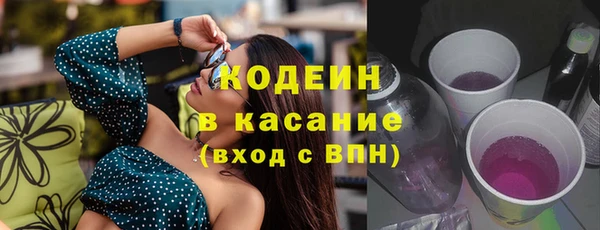 прущие грибы Верхний Тагил