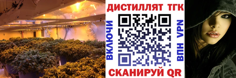 ТГК концентрат Всеволожск